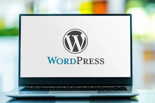 Freelance vs Agenzia: La Guida Onesta per Scegliere il Partner Giusto